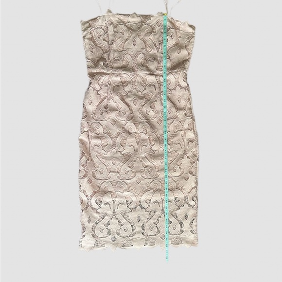 Women’s BARDOT Lina Lace Pink Rose Knee Length Sheath Dress Size 10 - Picture 8 of 13